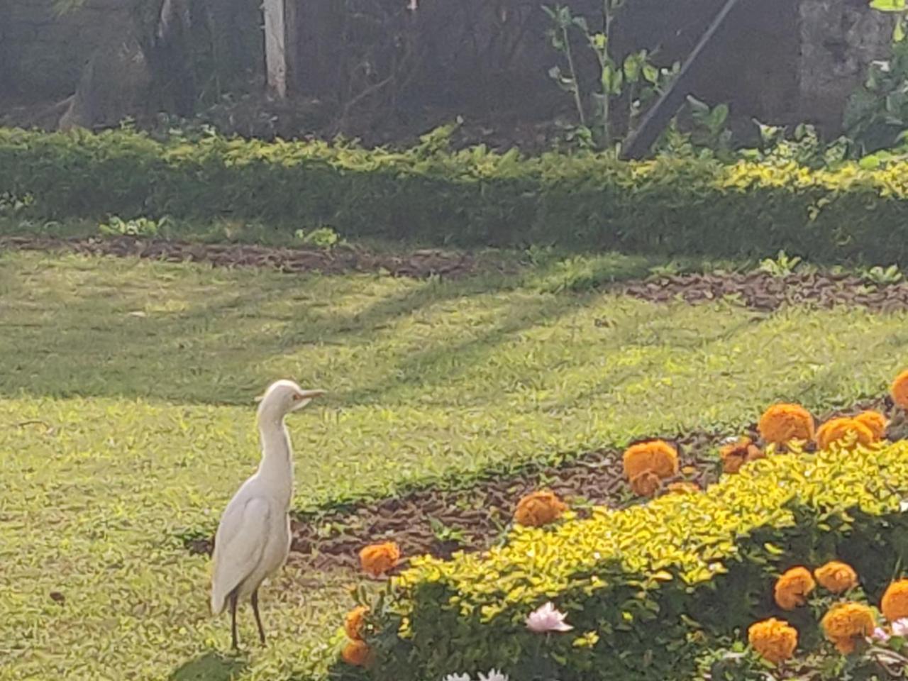 Heritage Homestay 잠무 외부 사진