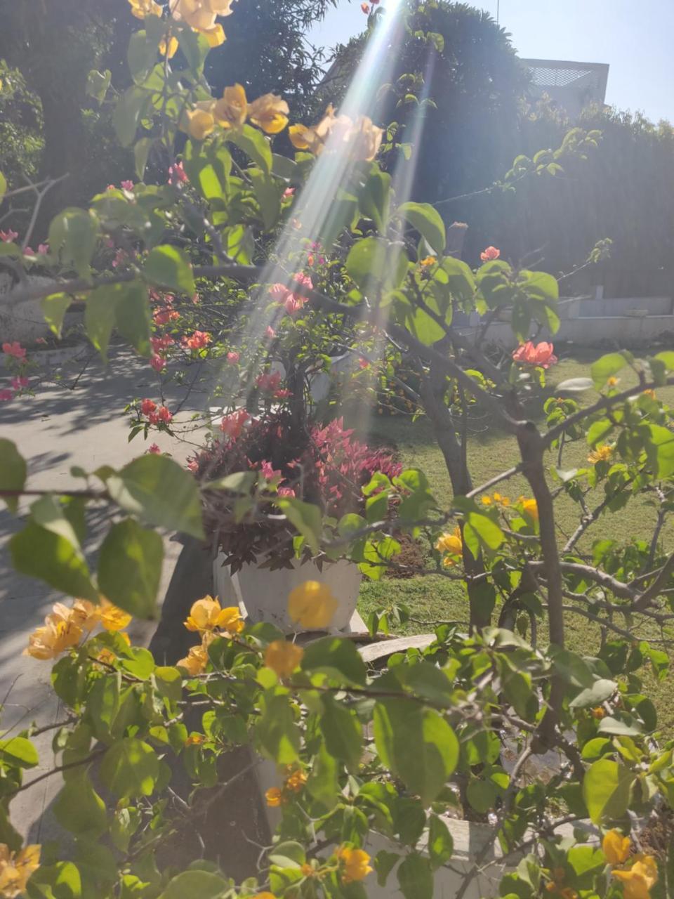 Heritage Homestay 잠무 외부 사진